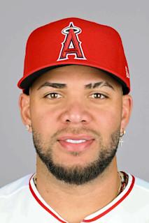 Yoán Moncada headshot