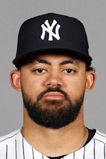 Jasson Domínguez headshot